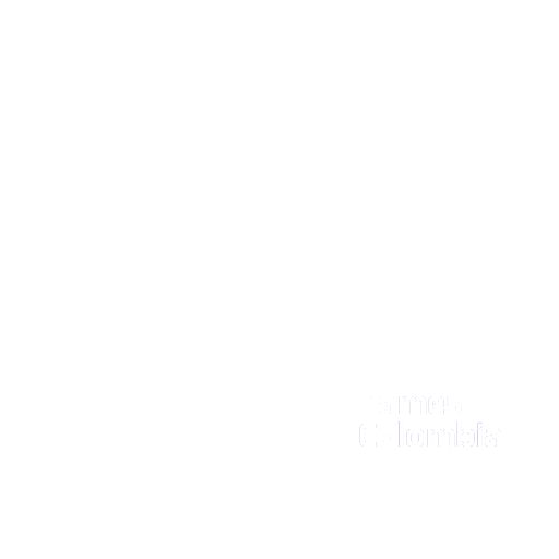 Logo Phygital en blanco total